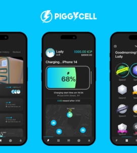 Piggycell raises US$10 million seed round from Animoca Brands, ICP, others to expand its decentralized infrastructure and ecosystem